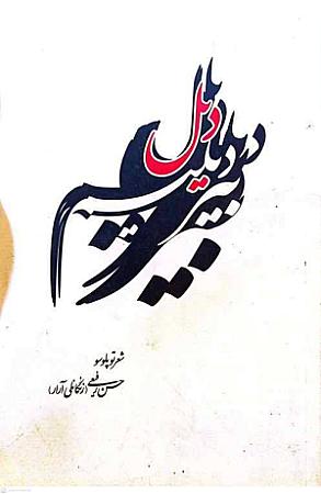 جلد کتاب بیر دیلیم دیل