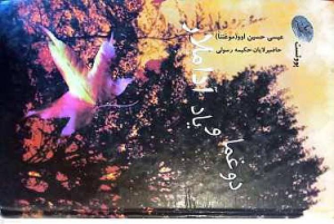جلد کتاب دوغما و یاد آداملار